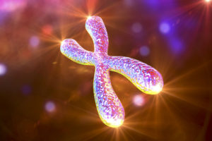 telomeres-aging-process