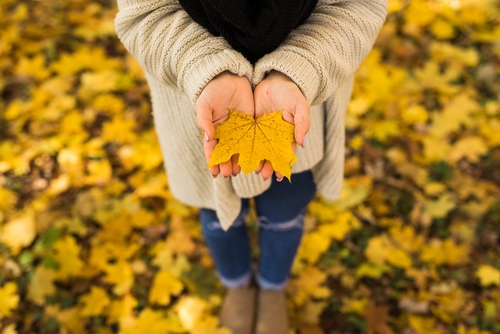 How Can You Practice Mindfulness Exercises for the Autumn?